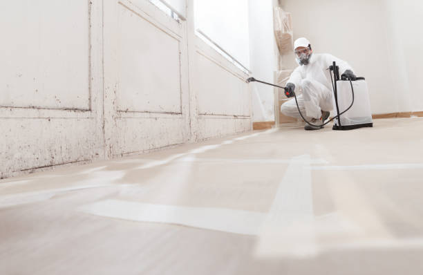24/7 Emergency Mold Removal experts in San Antonio, TX