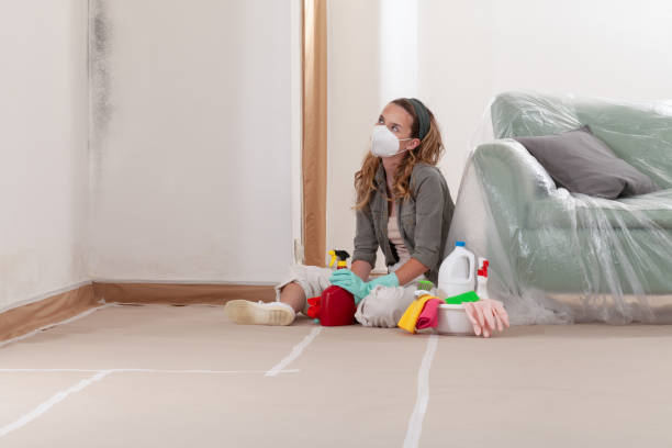 Reliable Mold Removal contractor in San Antonio, TX by WQB Mold Removal